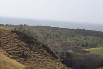 Finca/Hacienda en  Oria Arriba, Pedasí