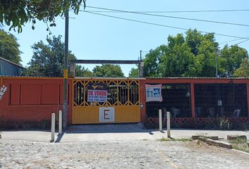 Local comercial en  Rancho O Rancheria Cofradía De Suchitlán, Comala