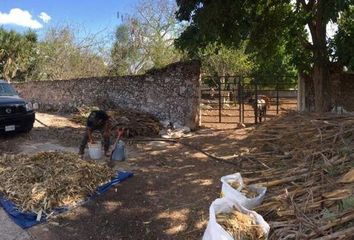 Casa en  Sotuta, Yucatán
