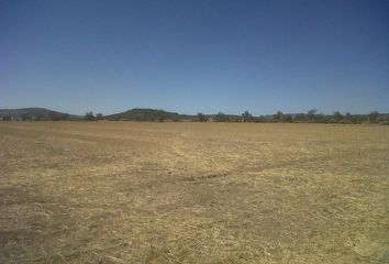 Lote de Terreno en  Aquiles Serdán, Revolución, Hidalgo, Nuevo León, 65600, Mex
