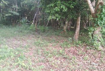 Lote de Terreno en  Bacalar, Bacalar, Bacalar, Quintana Roo