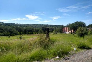 Lote de Terreno en  Carretera Aguascalientes-ojuelos, Ojuelos De Jalisco, Jalisco, Mex