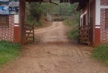 Lote de Terreno en  Tortilleria Luz Angélica, Ignacio Allende, Pueblo Mazamitla Centro, Mazamitla, Jalisco, 49500, Mex