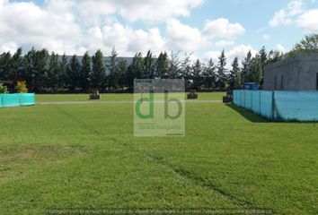 Terrenos en  Benavidez, Partido De Tigre