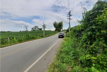 Lote de Terreno en  Montenegro, Quindío