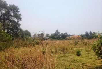 Lote de Terreno en  Tepetlixpa, Estado De México