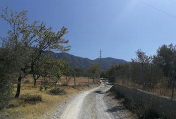 Terreno en  Padul, Granada Provincia