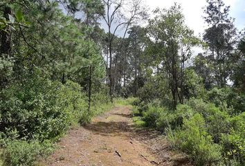 Lote de Terreno en  Singuilucan, Hidalgo