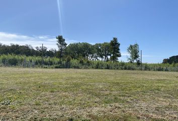 Terrenos en  Arenas Del Sur, Mar Del Plata