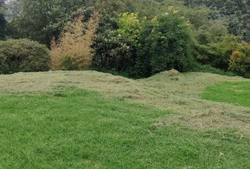 Terreno Comercial en  Puembo, Quito