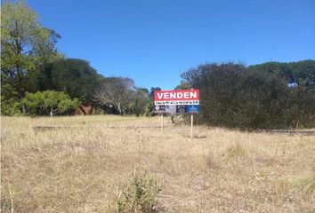 Terrenos en  Otro, Villa Gesell