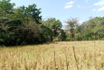 Finca/Hacienda en  Cambutal, Tonosí