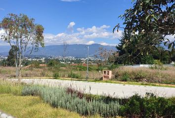 Terreno Comercial en  Tumbaco, Quito