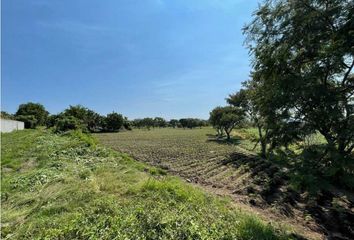 Lote de Terreno en  Ricardo Flores Magón (fracción San Félix), Atlixco