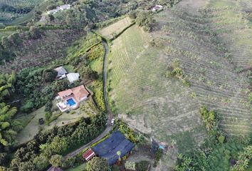 Lote de Terreno en  Palestina, Caldas