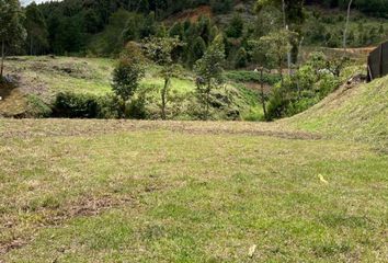 Lote de Terreno en  Rionegro Antioquía