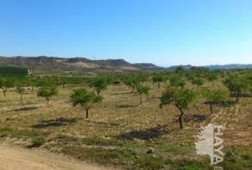 Terreno en  Rafal, Alicante Provincia