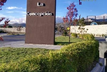 Lote de Terreno en  Carretera Ajacuba-tlaxiaca, Barrio Huizache, San Agustín Tlaxiaca, Hidalgo, 42160, Mex