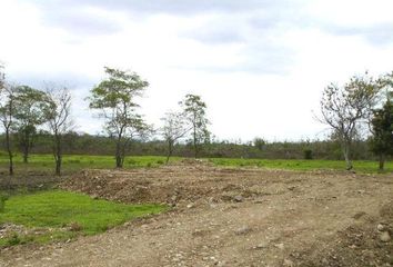 Terreno Comercial en  Guayaquil, Guayas