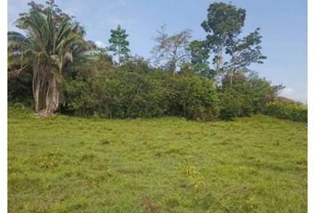 Lote de Terreno en  Carmen De Apicalá, Tolima