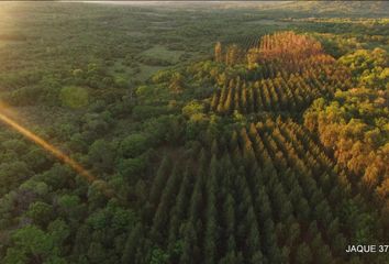 Terrenos en  Cerro Azul, Misiones