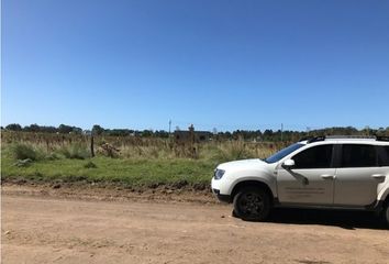 Terrenos en  Otro, Partido De Necochea