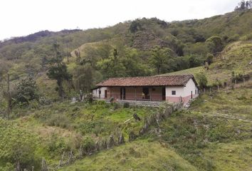 Bodega-Galpon en  Loja