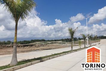 Lote de Terreno en  Puente Nacional, Veracruz