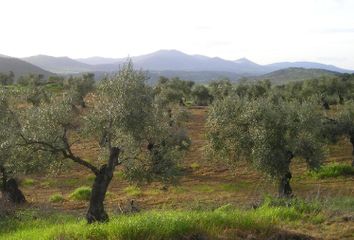 Terreno en  Zafra, Badajoz Provincia