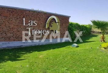 Lote de Terreno en  Las Trojes, Torreón