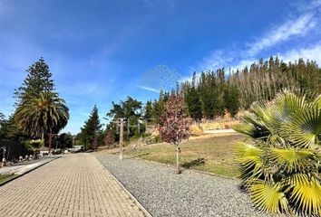 Parcela en  Hualqui, Concepción