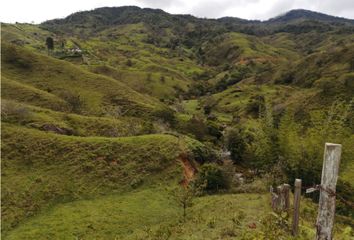 Lote de Terreno en  Alejandría, Antioquia
