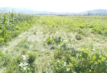 Lote de Terreno en  Real Del Valle, Villa De Zaachila