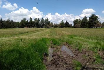 Lote de Terreno en  Santa María Caliacac, Teoloyucán