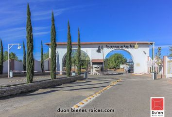 Lote de Terreno en  Rancho O Rancheria San José De La Calera, San Francisco Del Rincón