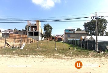 Lote de Terreno en  Calle Aguascalientes 27-27, Eduardo Crosthwhite, Playas De Rosarito, Baja California, 22707, Mex