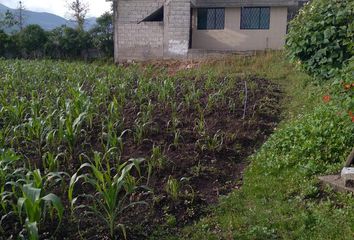 Terreno Comercial en  Uyumbicho, Mejia