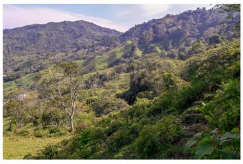 Lote de Terreno en  Sasaima, Cundinamarca