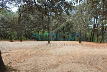 Lote de Terreno en  Avenida Rosales, Avándaro, Valle De Bravo, México, 51200, Mex