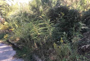 Terreno en  Lloret De Mar, Girona Provincia