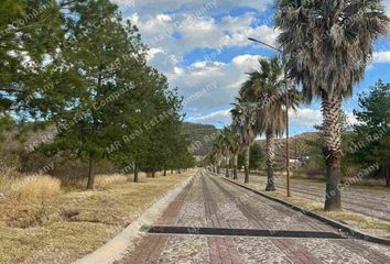 Lote de Terreno en  San Martín De Bolaños, Jalisco, Mex