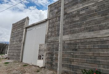 Nave en  Gral. Ignacio Martínez, San Luis Potosí