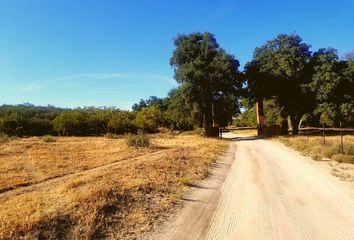 Lote de Terreno en  Santa Verónica, Tecate