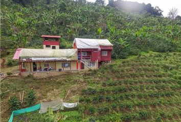 Villa-Quinta en  Sevilla, Valle Del Cauca