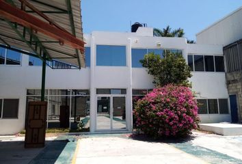 Oficina en  San Agustin Del Palmar, Carmen, Campeche