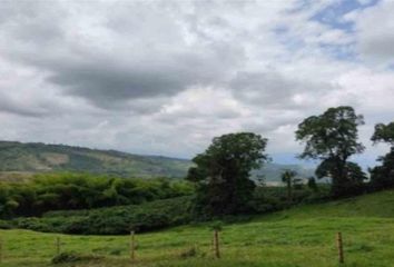 Lote de Terreno en  Palestina, Caldas