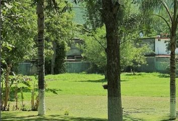 Lote de Terreno en  Calle Los Pingos 550-560, Carretera Nacional, Las Jaras, Monterrey, Nuevo León, 64990, Mex