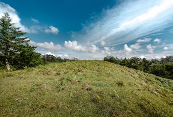 Lote de Terreno en  El Carmen De Viboral, Antioquia