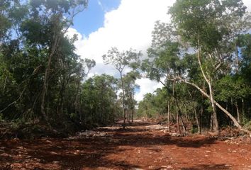 Lote de Terreno en  Tulum, Tulum