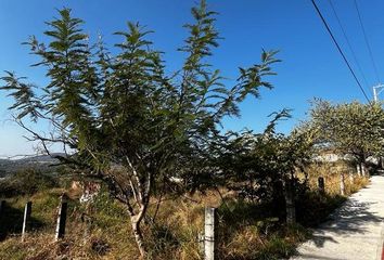 Lote de Terreno en  Ampliación Miguel Hidalgo, Miguel Hidalgo, Xochitepec, Morelos, México